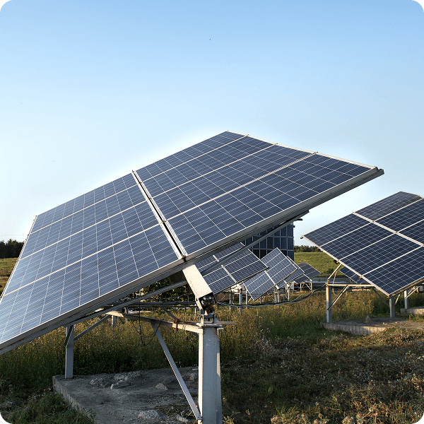 Environmental Impact