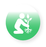 Tree and shrub planting icon